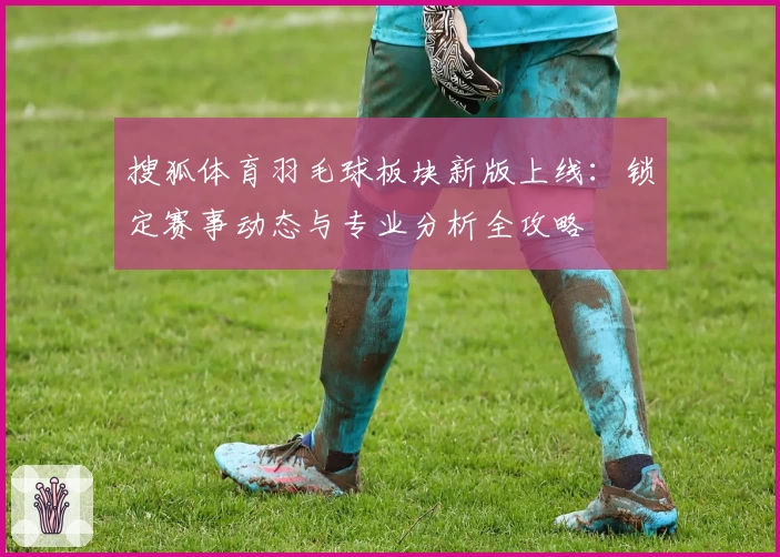 搜狐体育羽毛球板块新版上线：锁定赛事动态与专业分析全攻略