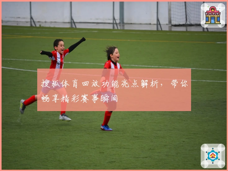 搜狐体育回放功能亮点解析，带你畅享精彩赛事瞬间