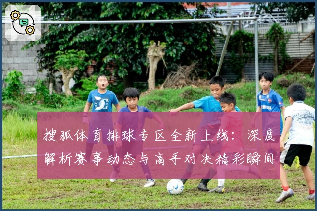 搜狐体育排球专区全新上线：深度解析赛事动态与高手对决精彩瞬间