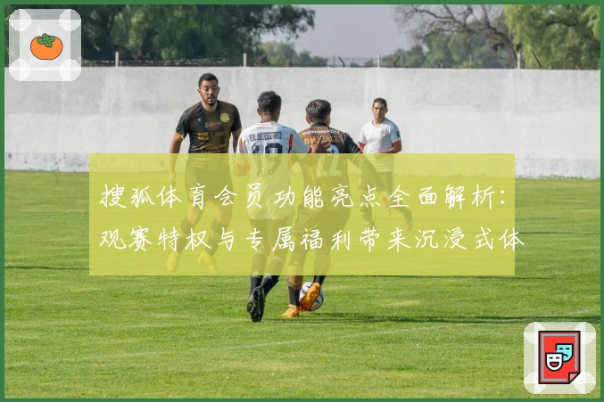 搜狐体育会员功能亮点全面解析：观赛特权与专属福利带来沉浸式体验